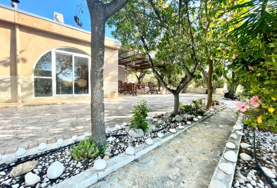 Resale - Finca / Country Property - Crevillente