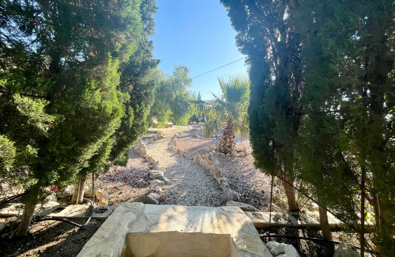 Resale - Finca / Country Property - Crevillente