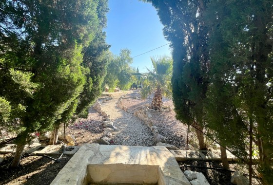 Resale - Finca / Country Property - Crevillente