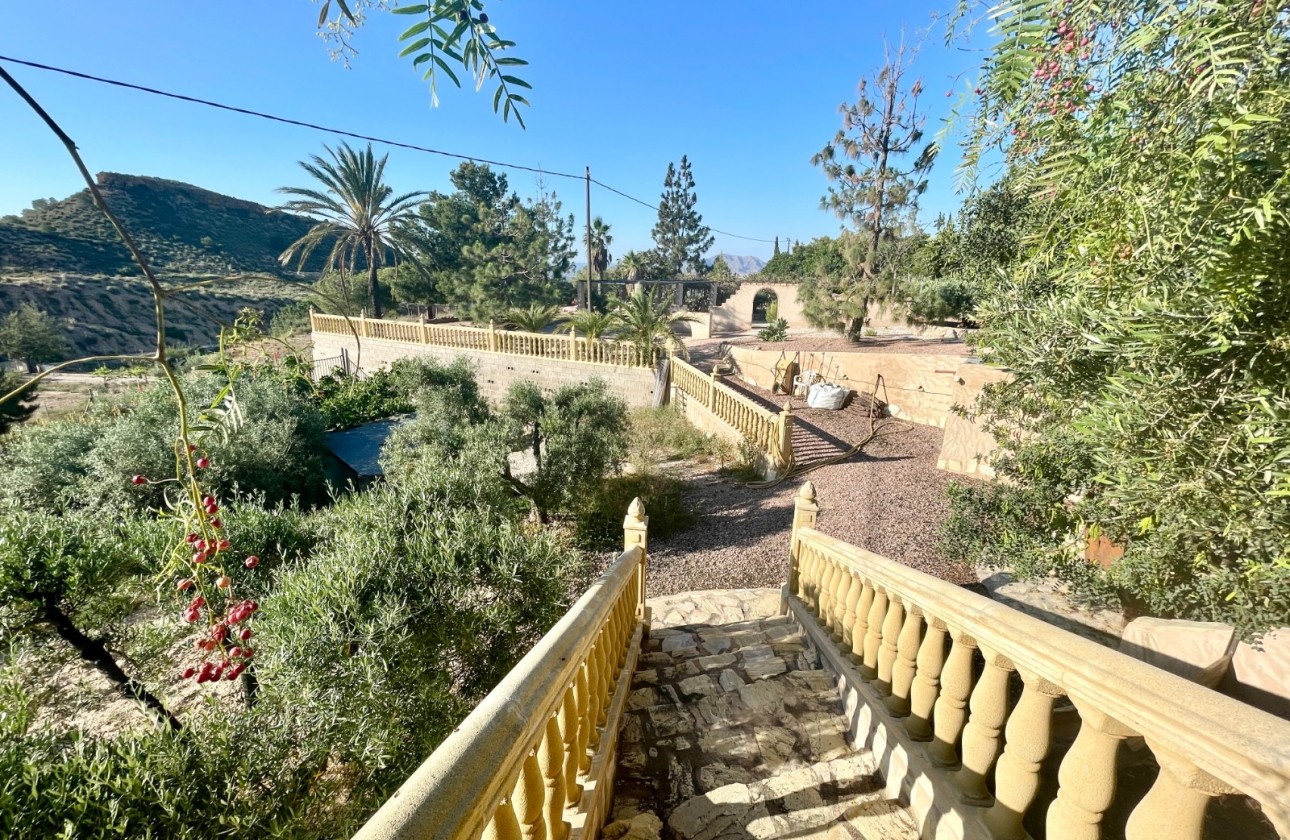 Resale - Finca / Country Property - Crevillente