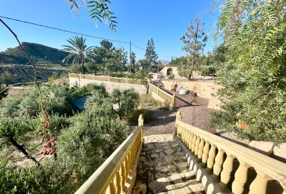Resale - Finca / Country Property - Crevillente