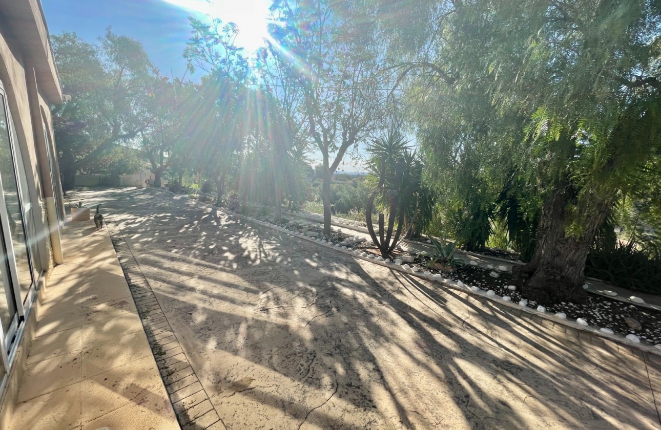 Resale - Finca / Country Property - Crevillente