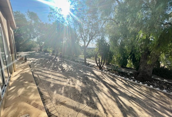 Resale - Finca / Country Property - Crevillente