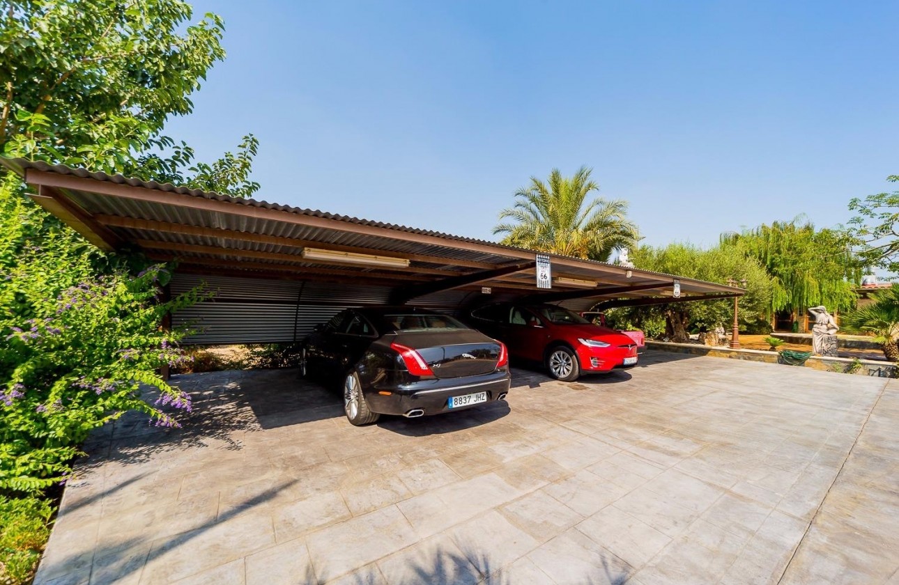 Revente - Finca / Country Property - Almoradí - Almoradi