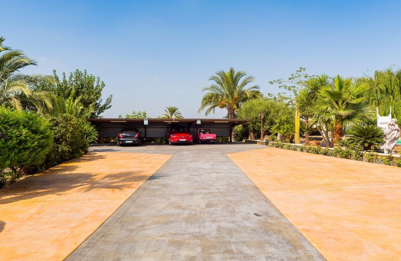 Revente - Finca / Country Property - Almoradí - Almoradi