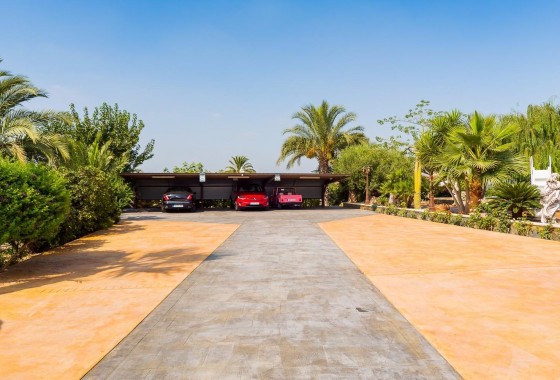 Revente - Finca / Country Property - Almoradí - Almoradi