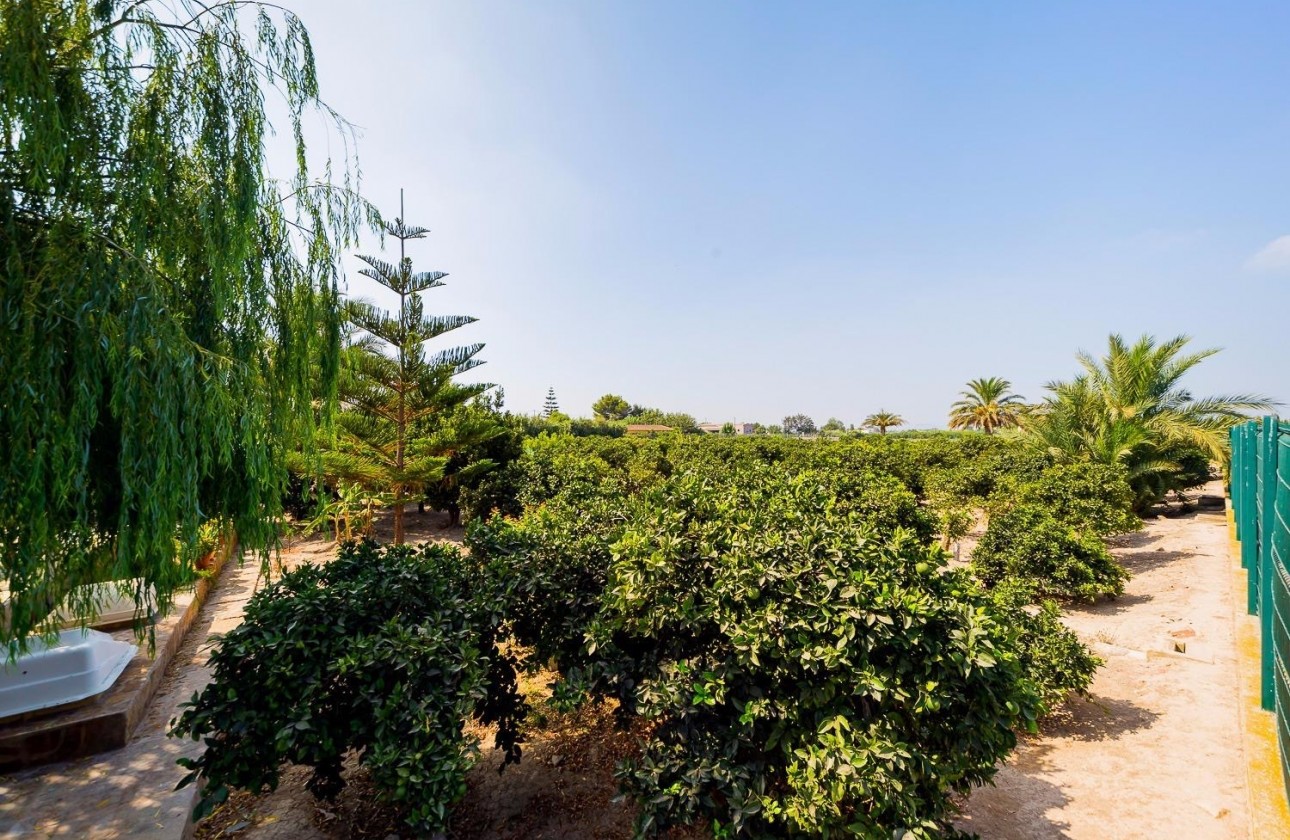 Revente - Finca / Country Property - Almoradí - Almoradi