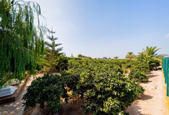 Revente - Finca / Country Property - Almoradí - Almoradi