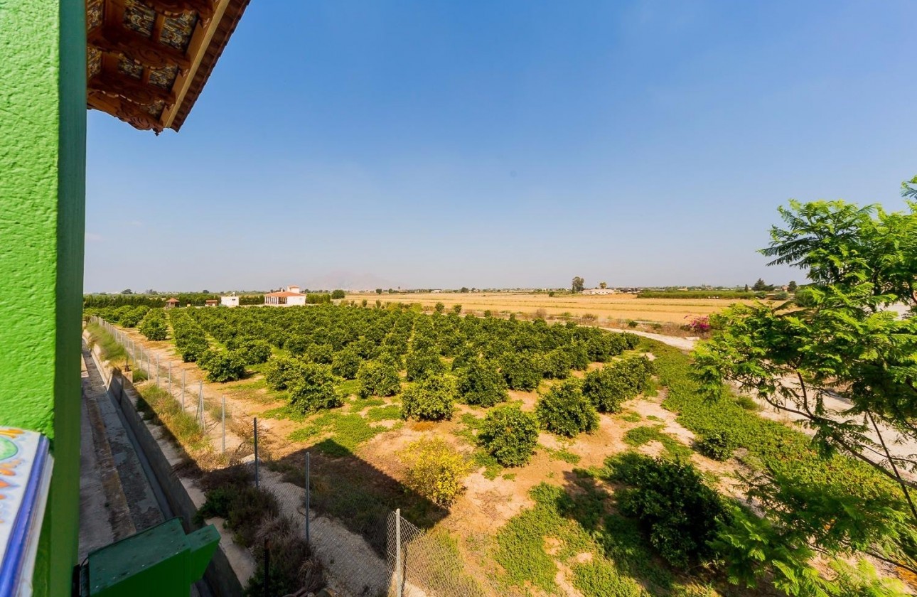 Revente - Finca / Country Property - Almoradí - Almoradi