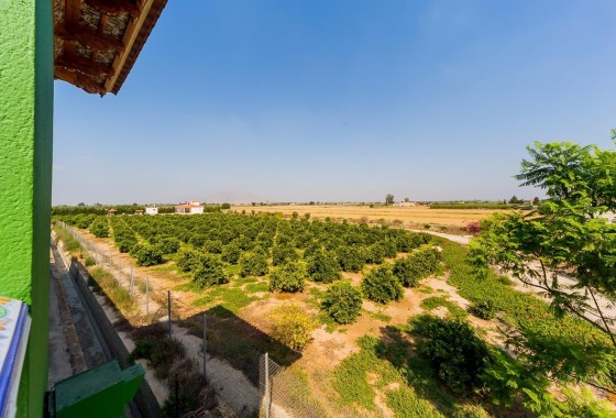 Revente - Finca / Country Property - Almoradí - Almoradi