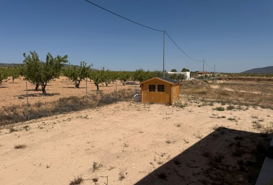 Revente - Villa - Pinoso
