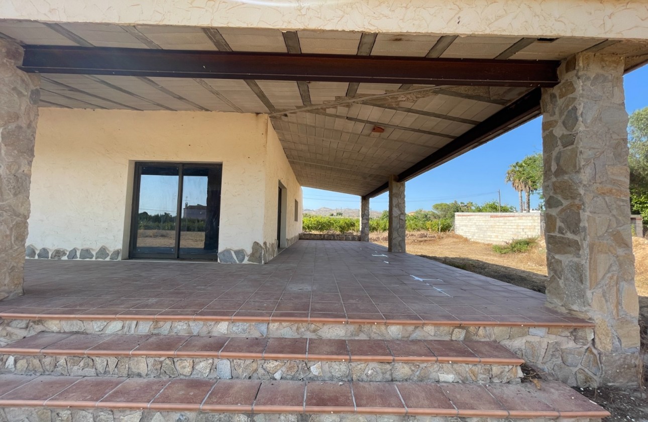 Resale - Finca / Country Property - Elche - Matola
