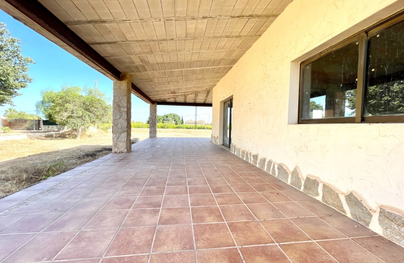 Resale - Finca / Country Property - Elche - Matola