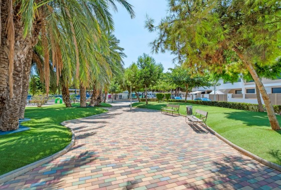 Resale - Apartment / flat - San Pedro del Pinatar - San Pedro del Pinatar Centro