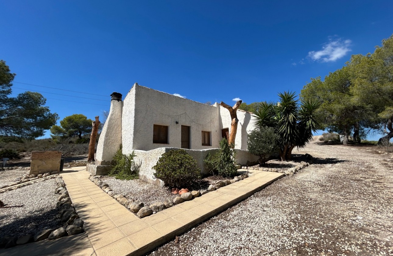 Resale - Country Property/Finca - Torremendo