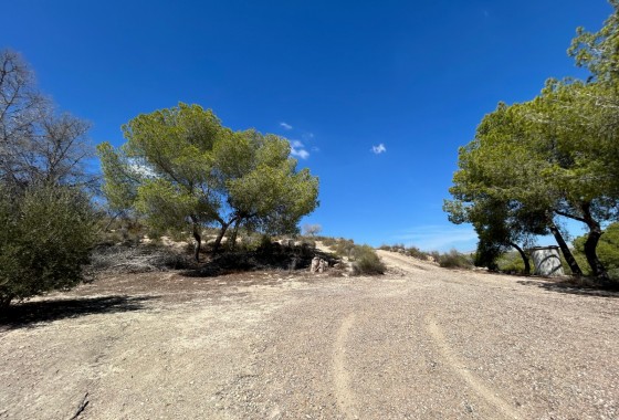 Resale - Country Property/Finca - Torremendo