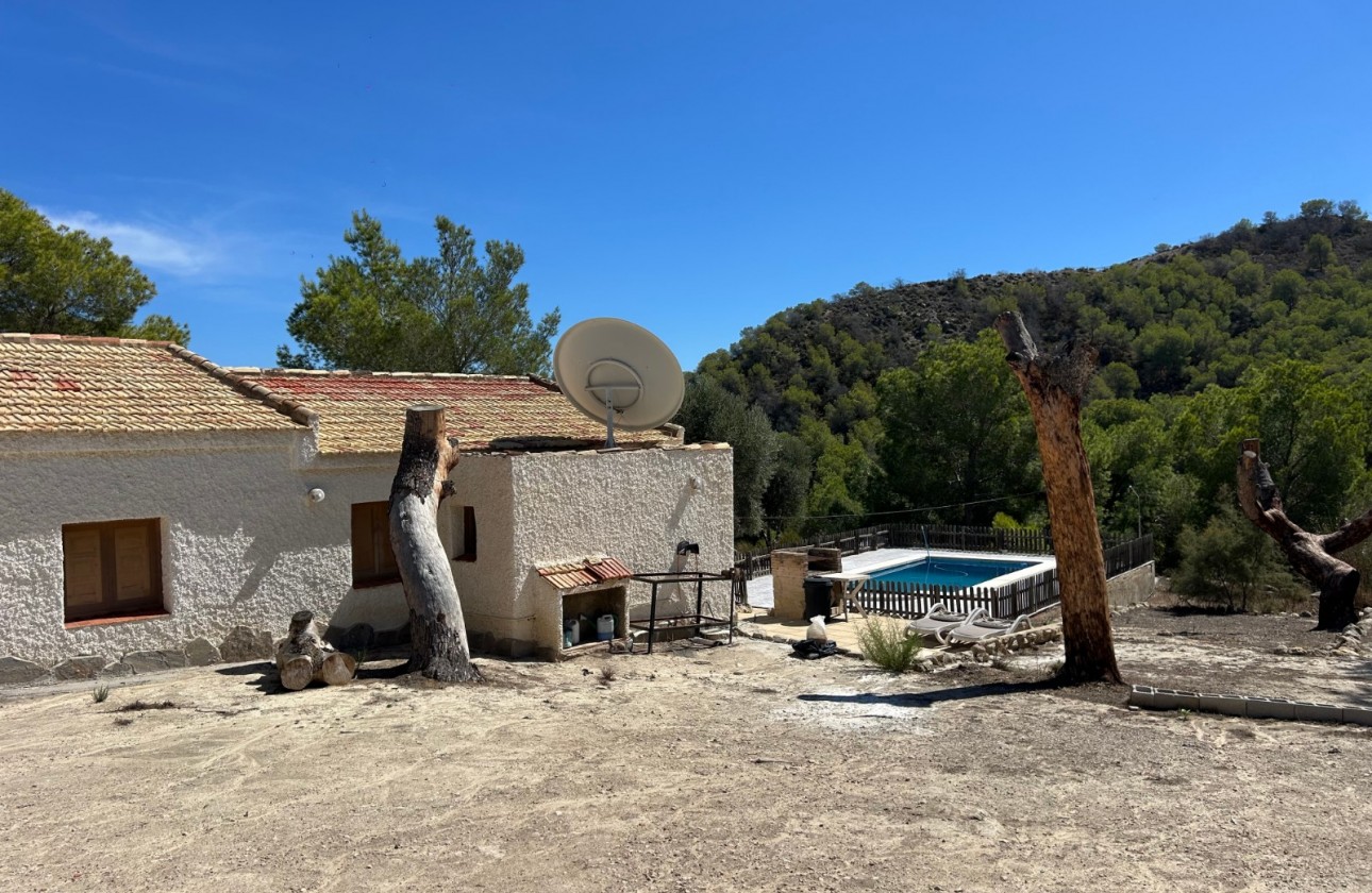 Resale - Country Property/Finca - Torremendo