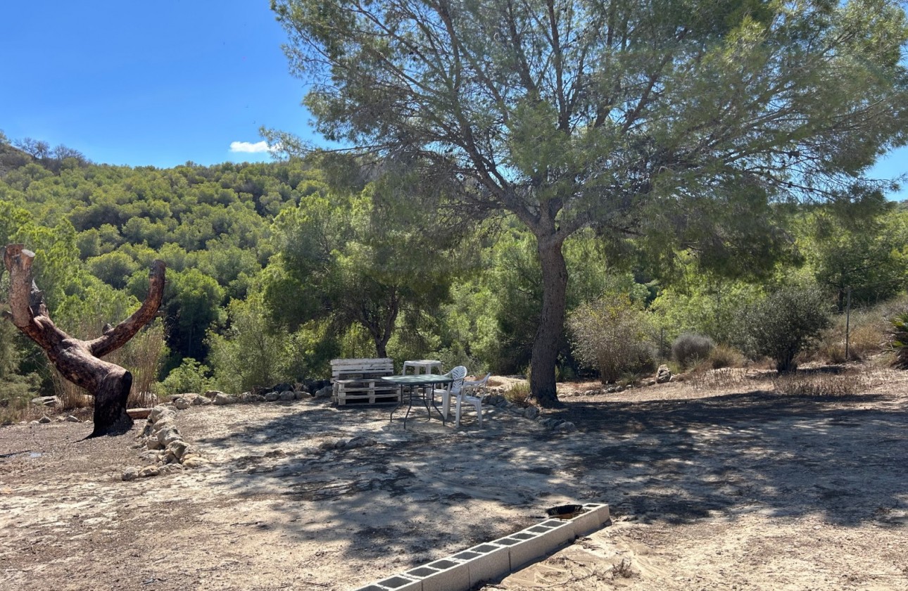 Resale - Country Property/Finca - Torremendo
