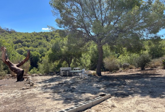 Resale - Country Property/Finca - Torremendo
