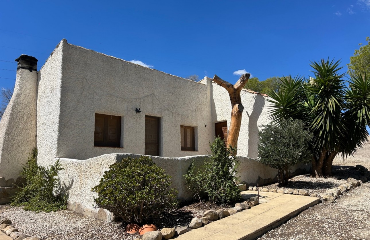 Resale - Country Property/Finca - Torremendo