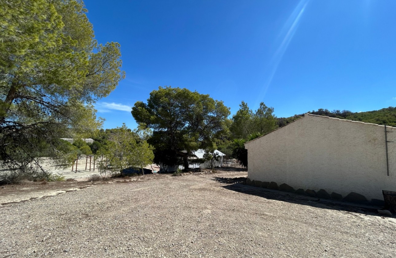 Resale - Country Property/Finca - Torremendo