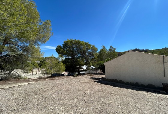 Resale - Country Property/Finca - Torremendo