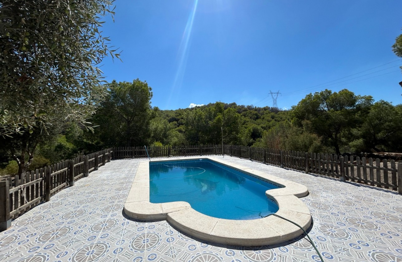 Resale - Country Property/Finca - Torremendo