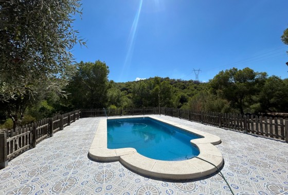 Resale - Country Property/Finca - Torremendo