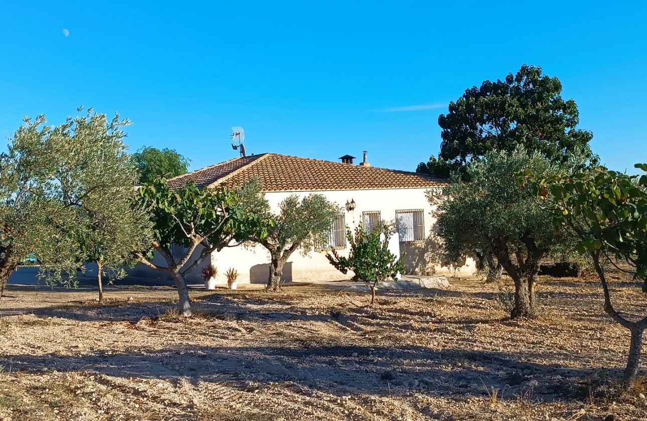 Revente - Property - Yecla - Inland