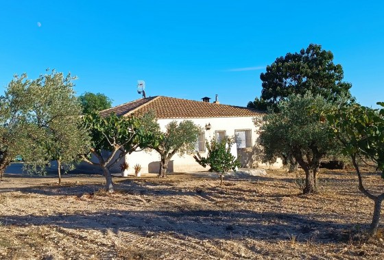 Revente - Property - Yecla - Inland