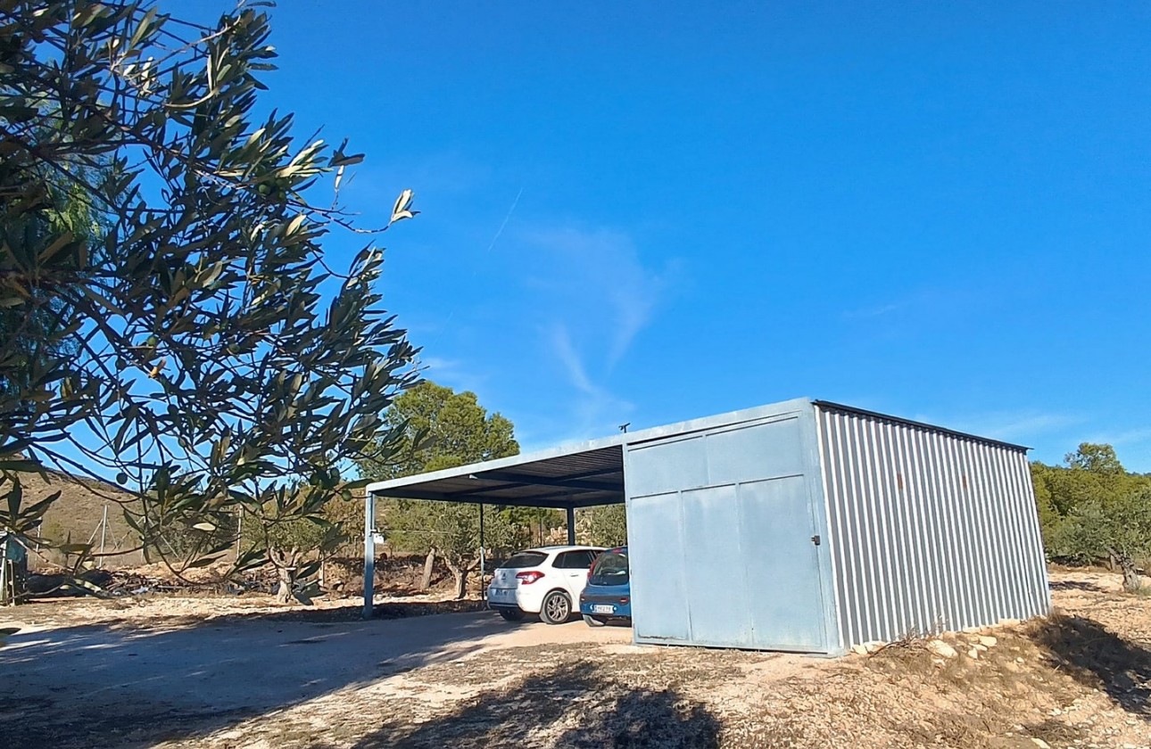Revente - Property - Yecla - Inland