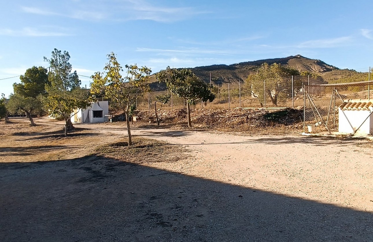 Revente - Property - Yecla - Inland