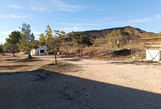Revente - Property - Yecla - Inland