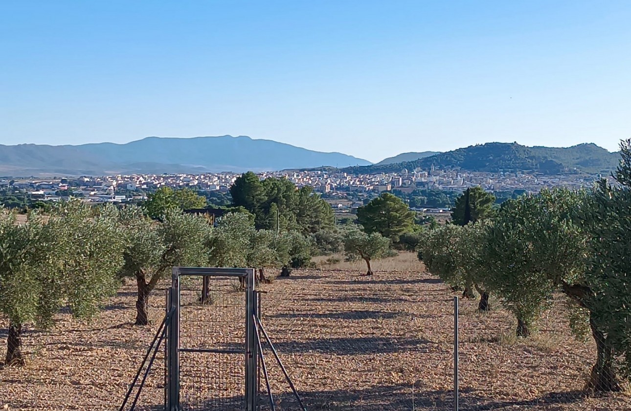 Revente - Property - Yecla - Inland