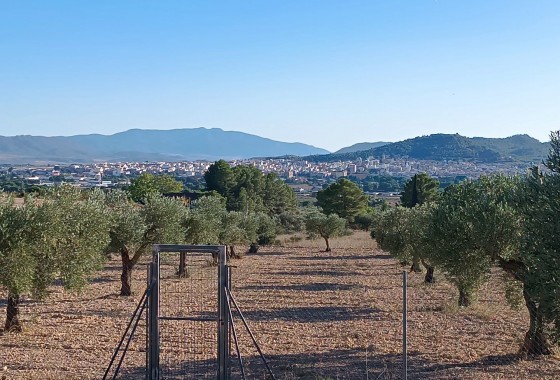 Revente - Property - Yecla - Inland