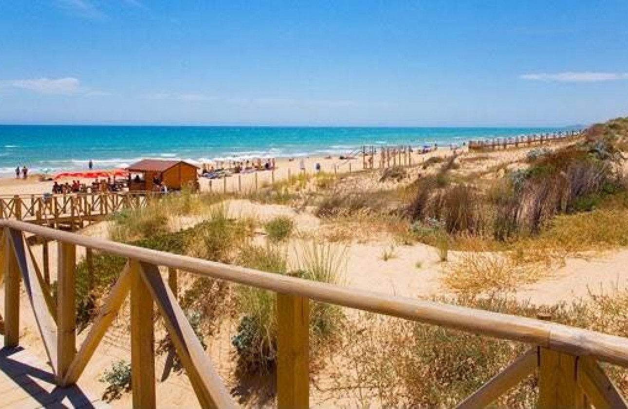 Revente - Penthouse Penthouse - Guardamar del Segura - Costa Blanca