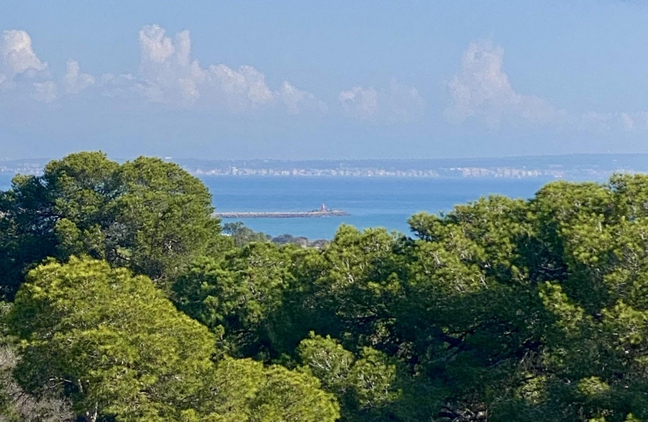 New Build - Apartment / flat - Guardamar del Segura - CENTRO