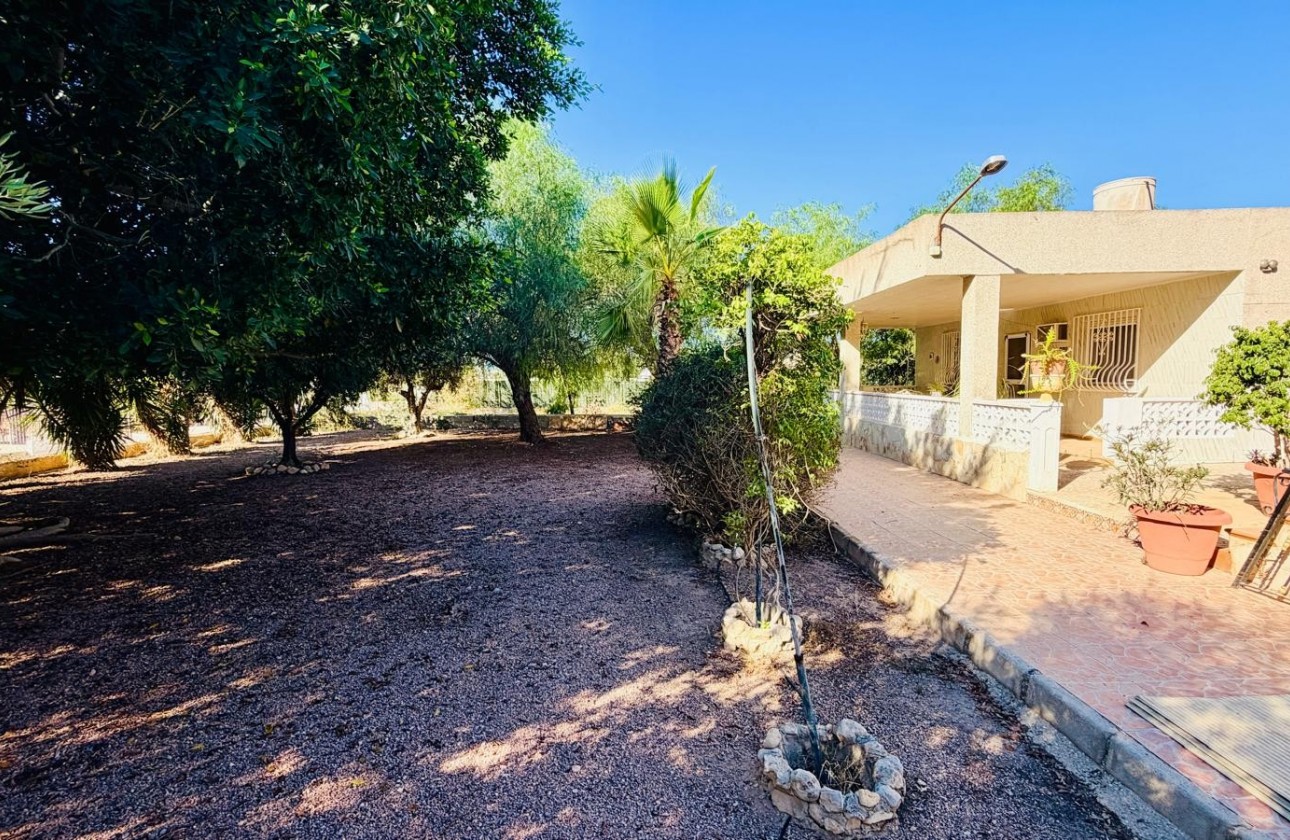 Revente - Villa - Crevillent - Inland