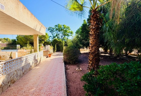 Revente - Villa - Crevillent - Inland