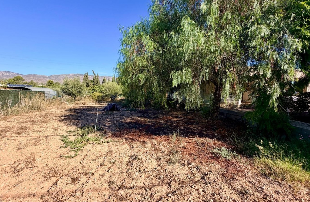 Revente - Villa - Crevillent - Inland