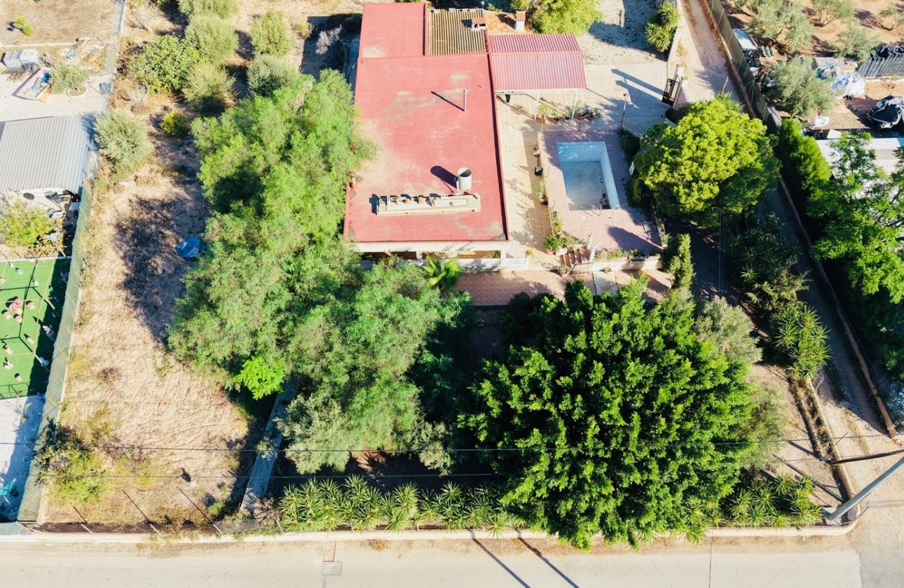 Revente - Villa - Crevillent - Inland