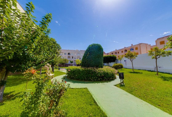 Revente - Atico - Torrevieja - Playa del Acequión