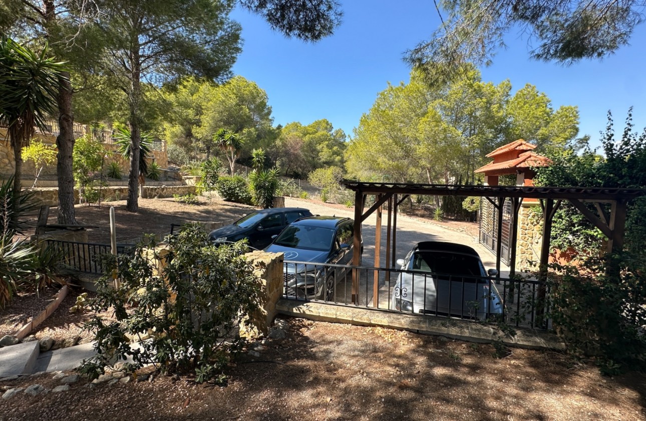 Resale - Finca - San Miguel de Salinas - Inland