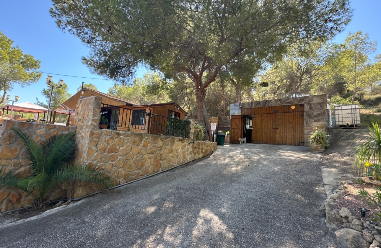 Resale - Finca - San Miguel de Salinas - Inland