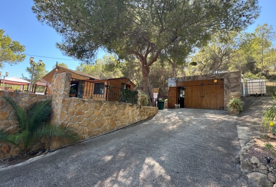 Resale - Finca - San Miguel de Salinas - Inland