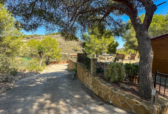Resale - Finca - San Miguel de Salinas - Inland
