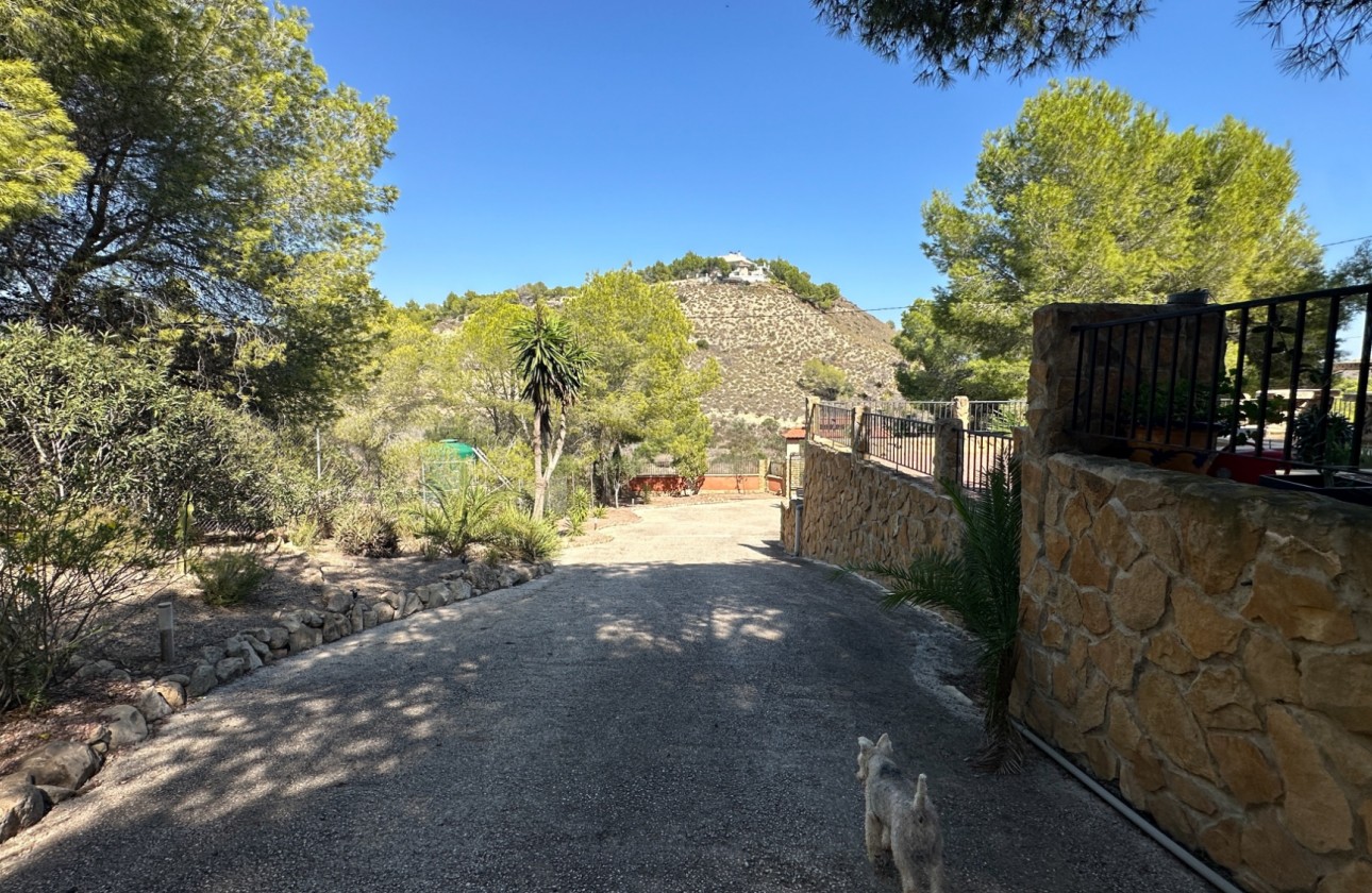 Resale - Finca - San Miguel de Salinas - Inland