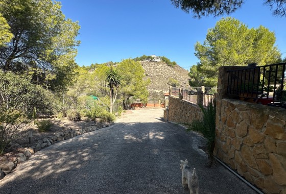 Resale - Finca - San Miguel de Salinas - Inland