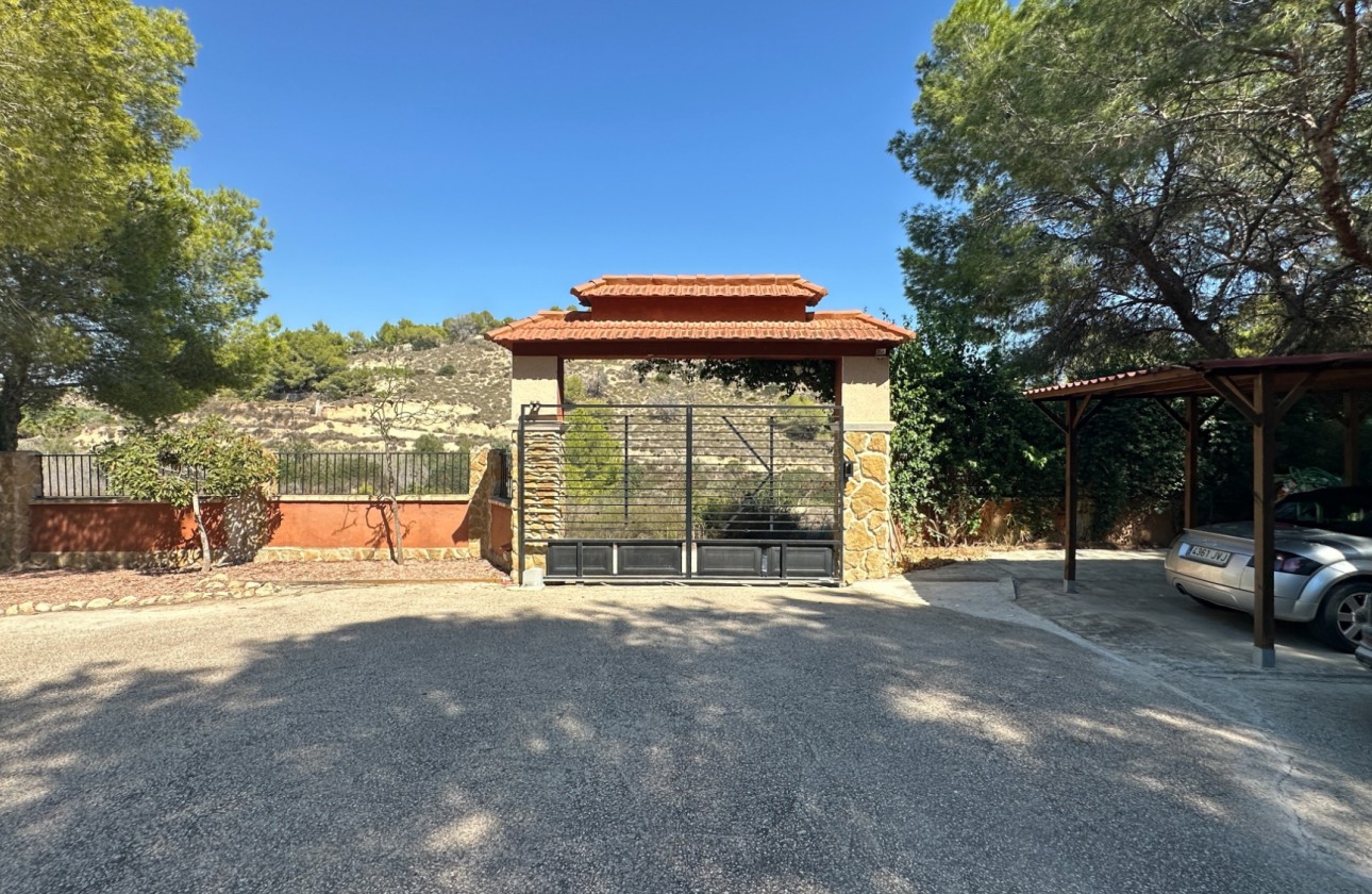 Resale - Finca - San Miguel de Salinas - Inland