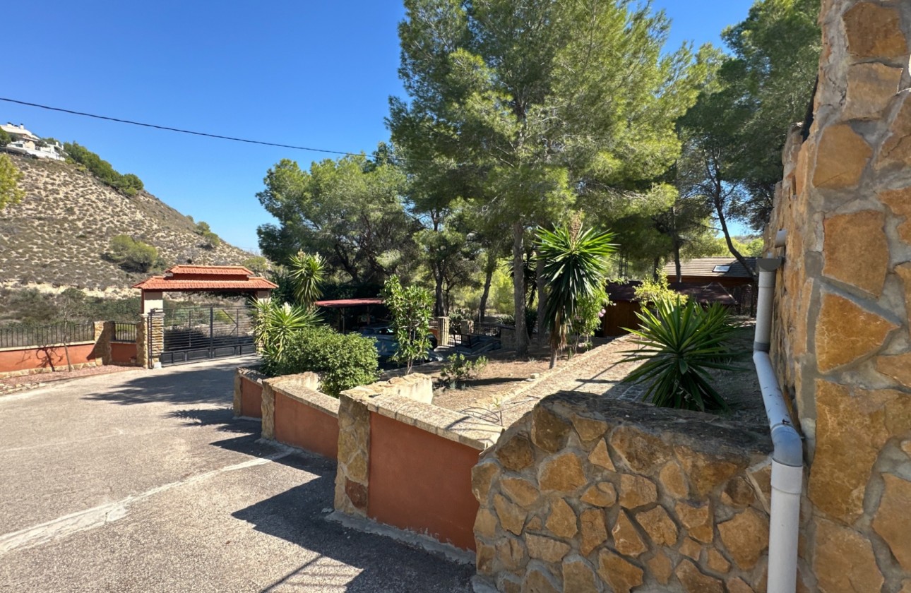 Resale - Finca - San Miguel de Salinas - Inland